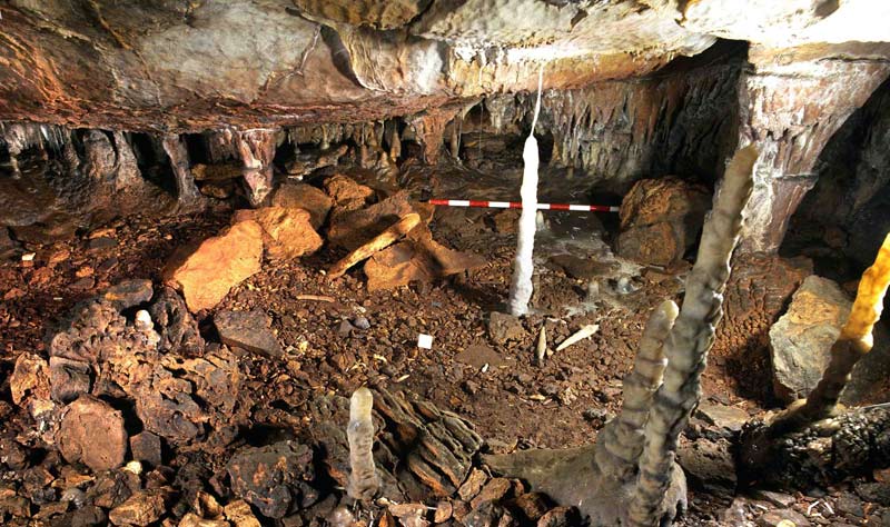 Cueva de La Garma.
