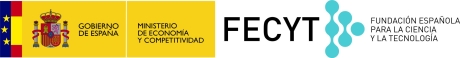 logo_MEC_FECYT_Web ancho460.jpg