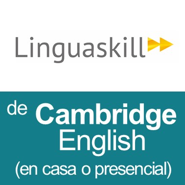Convocatorias de la Prueba LingueSkill en casa o presencial
