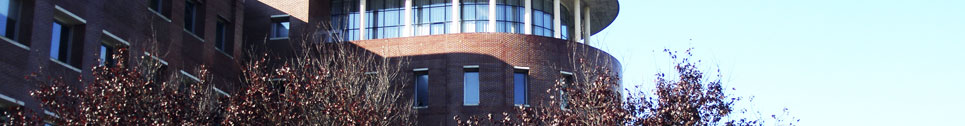 Faculty of Economics and Business Studies