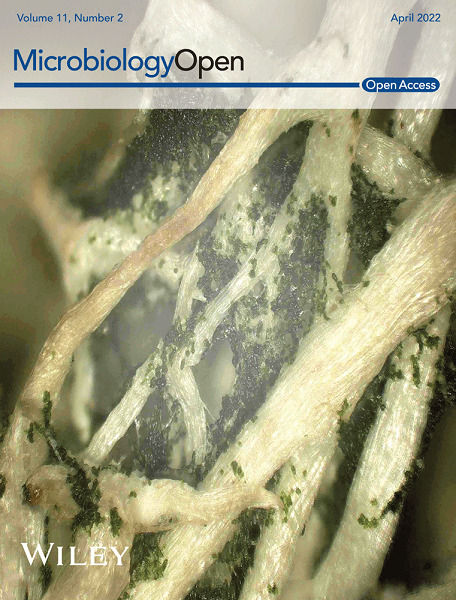 Analysis of laccase-like enzymes secreted by fungi isolated from a cave in northern Spain