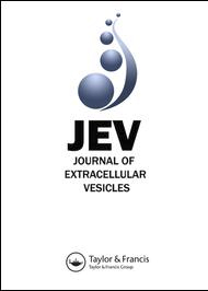 Biological membranes in EV biogenesis, stability, uptake, and cargo transfer: an ISEV position paper arising from the ISEV membranes and EVs workshop